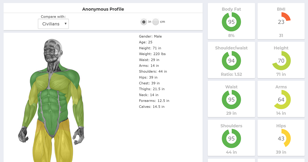 Body Measurements Visualizer, Online and mobile angle measurement tool.